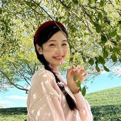 粉红火鹤的神秘凝视