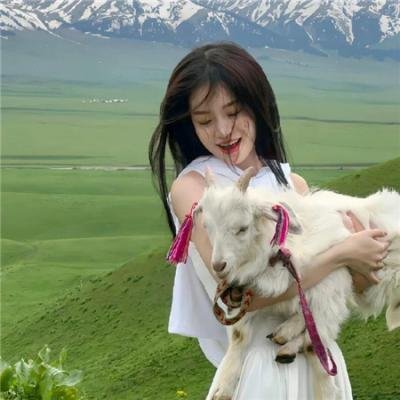 高文爵士与绿衣骑士